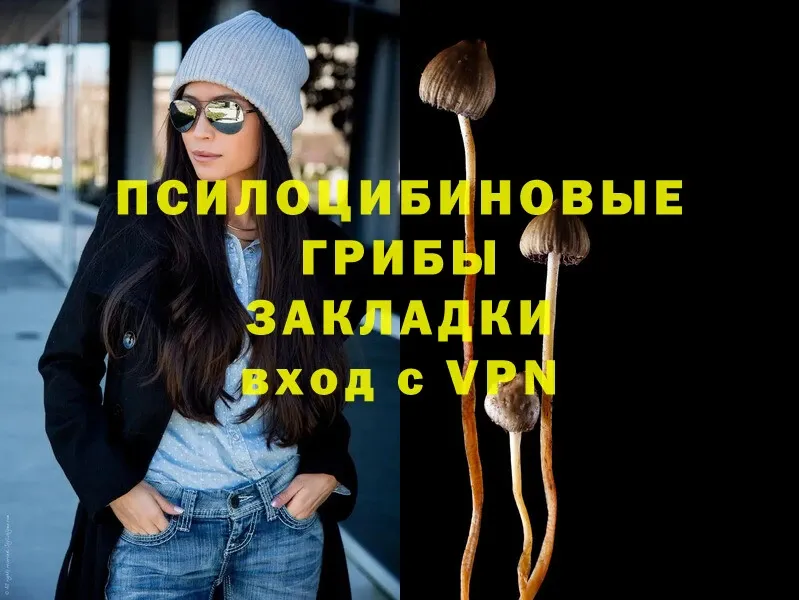 Галлюциногенные грибы Psilocybe  Красный Кут 